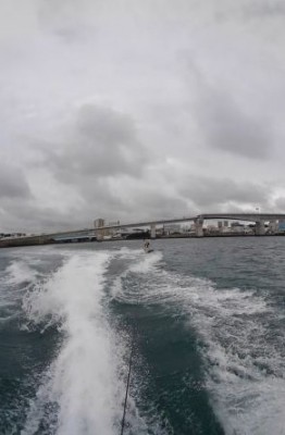 KIMG0751 (002)