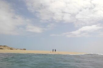南城市「馬天港」~コマカ島コース or 宜野湾マリーナ~那覇空港コース