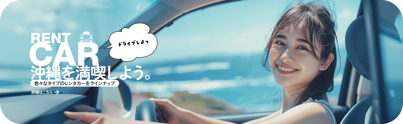 bnr_rentcar